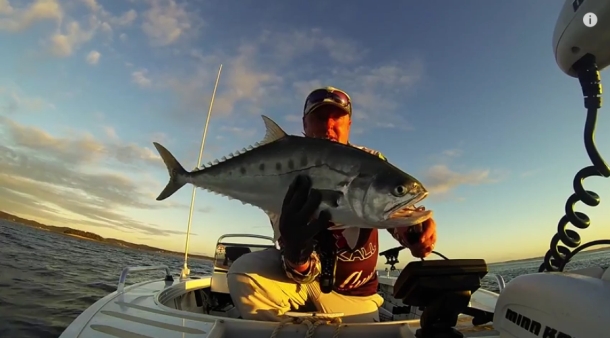 Video: Fish That Snag – Winter on Hervey Bay